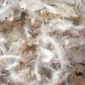 PILLOWS, 25% DOWN, 75% FEATHER